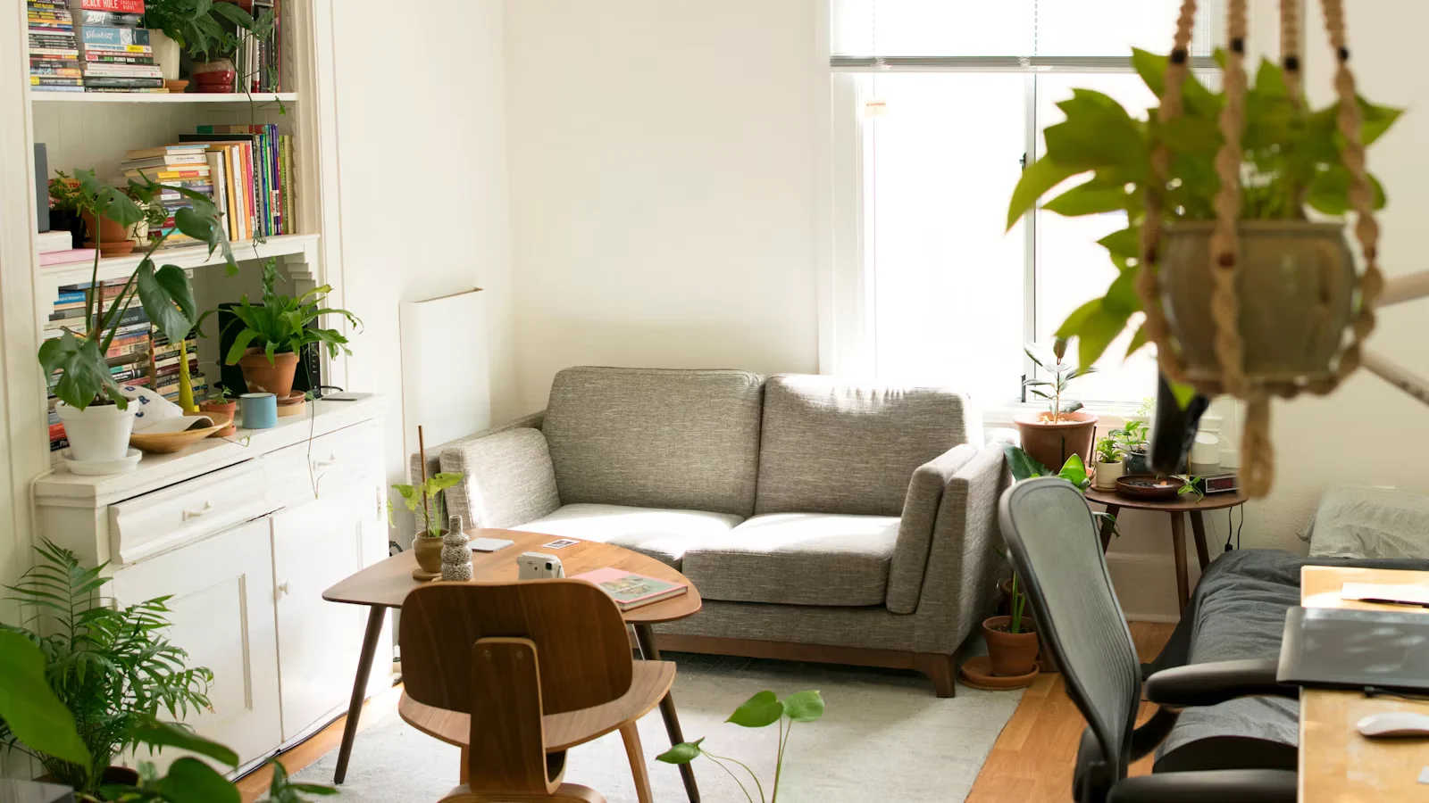 Daylit apartment with a dining table